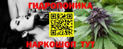 Альфа ПВП Ставрополь