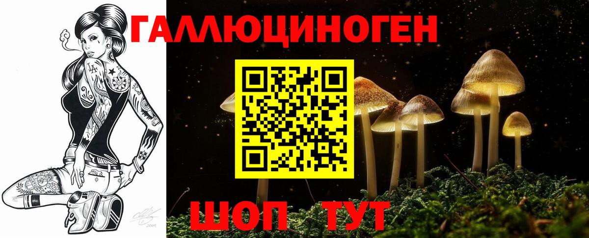 Новочеркасск  Псилоцибиновые грибы мухоморы  Вход с VPN 