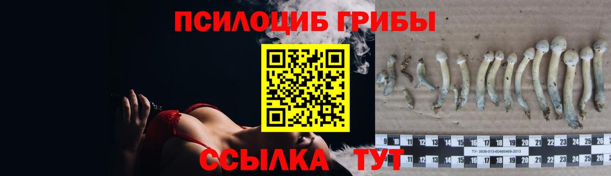 Псилоцибиновые грибы Новочеркасск
